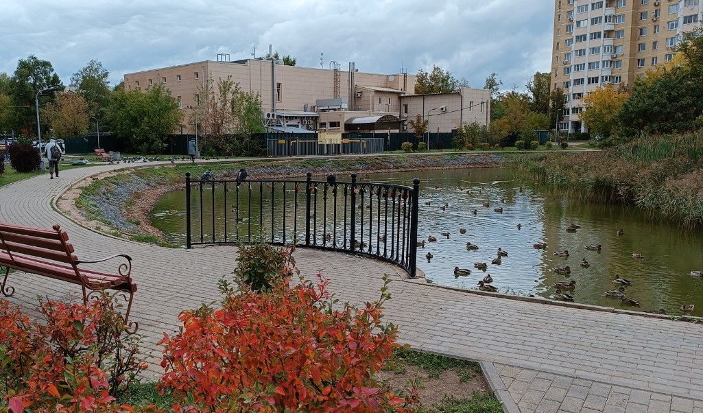Экологическая реабилитация водного объекта (пруда), расположенного в Московской области, г. Дедовск